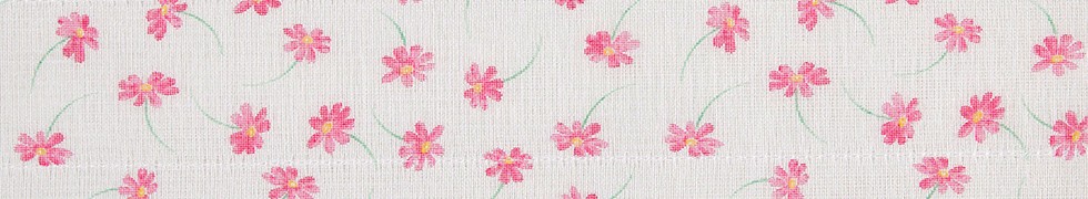 秋桜（9月）